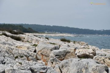 Каменяк