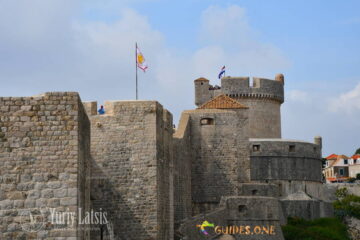 Minceta Tower
